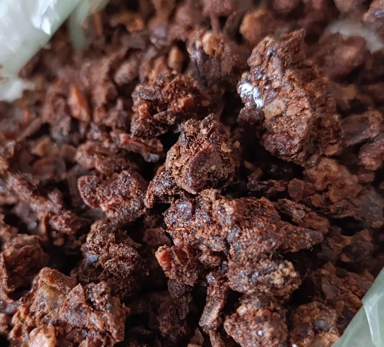 Propolis 100g kit pszczeli do nalewki propolisowej