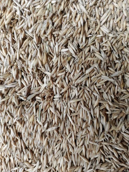 Owies opał zamiennik pellet groszek