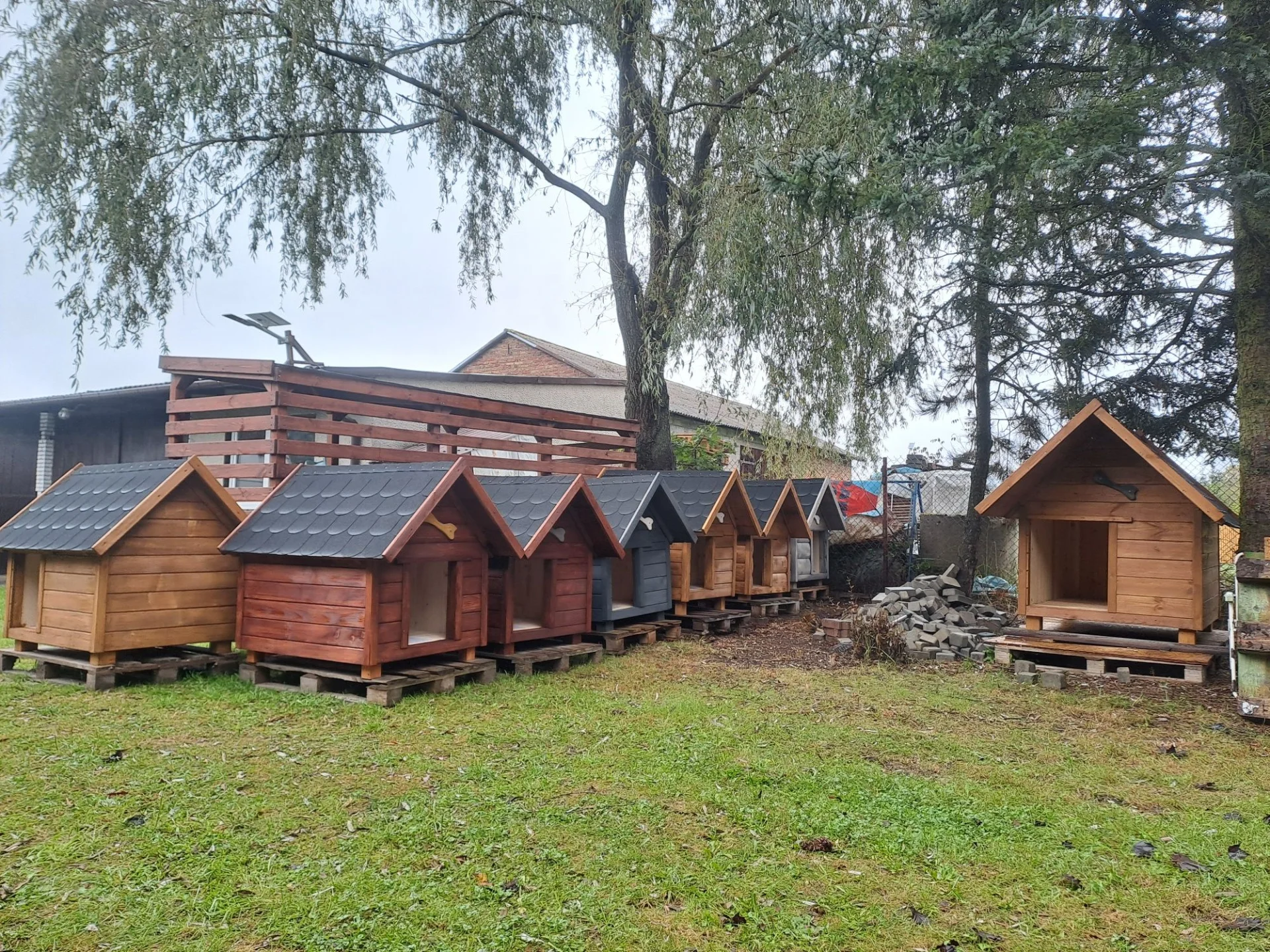 Budy dla Twojego pupila duży wybór zapraszamy Kleszczów