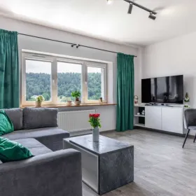 Wolne FERIE Apartament Kraina Wilka Bieszczady Ustrzyki Dolne