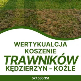  Fachowe koszenie i wertykulacja trawy - Kędzierzyn-Koźle 