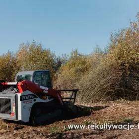 Wycinka zarośli krzaków karczowanie działek oczyszczacie mulczer leśny