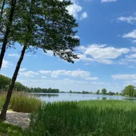 Wynajmę domki drewniane przy jeziorze Zbyszewickim w Wlkp. sauna