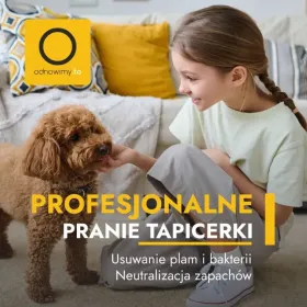 Pranie tapicerki Zgorzelec, Lubań, Bolesławiec, Zawidów