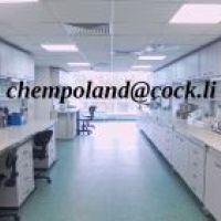 chempoland chempoland